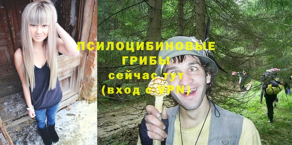 ешки Балахна